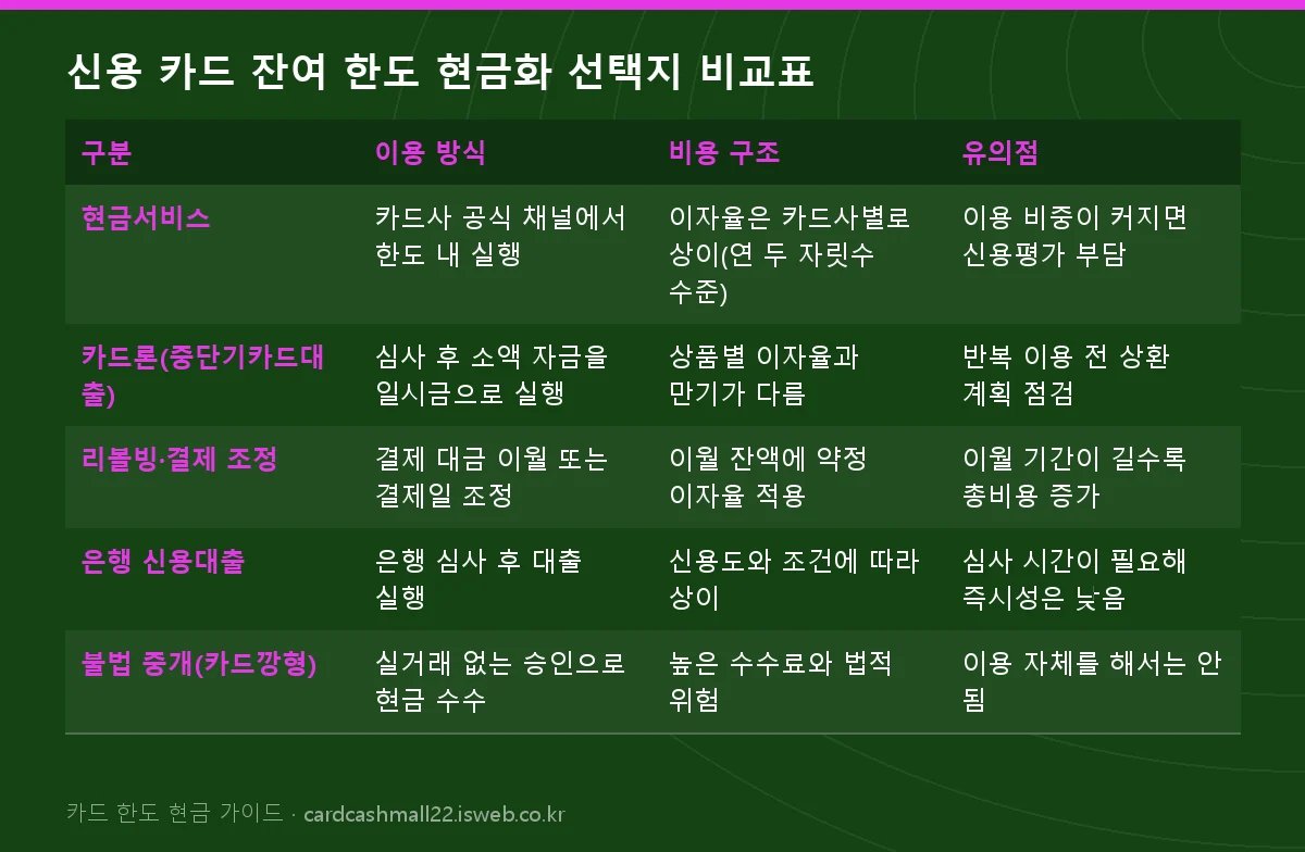 신용 카드 잔여 한도 현금화 선택지 비교표 표