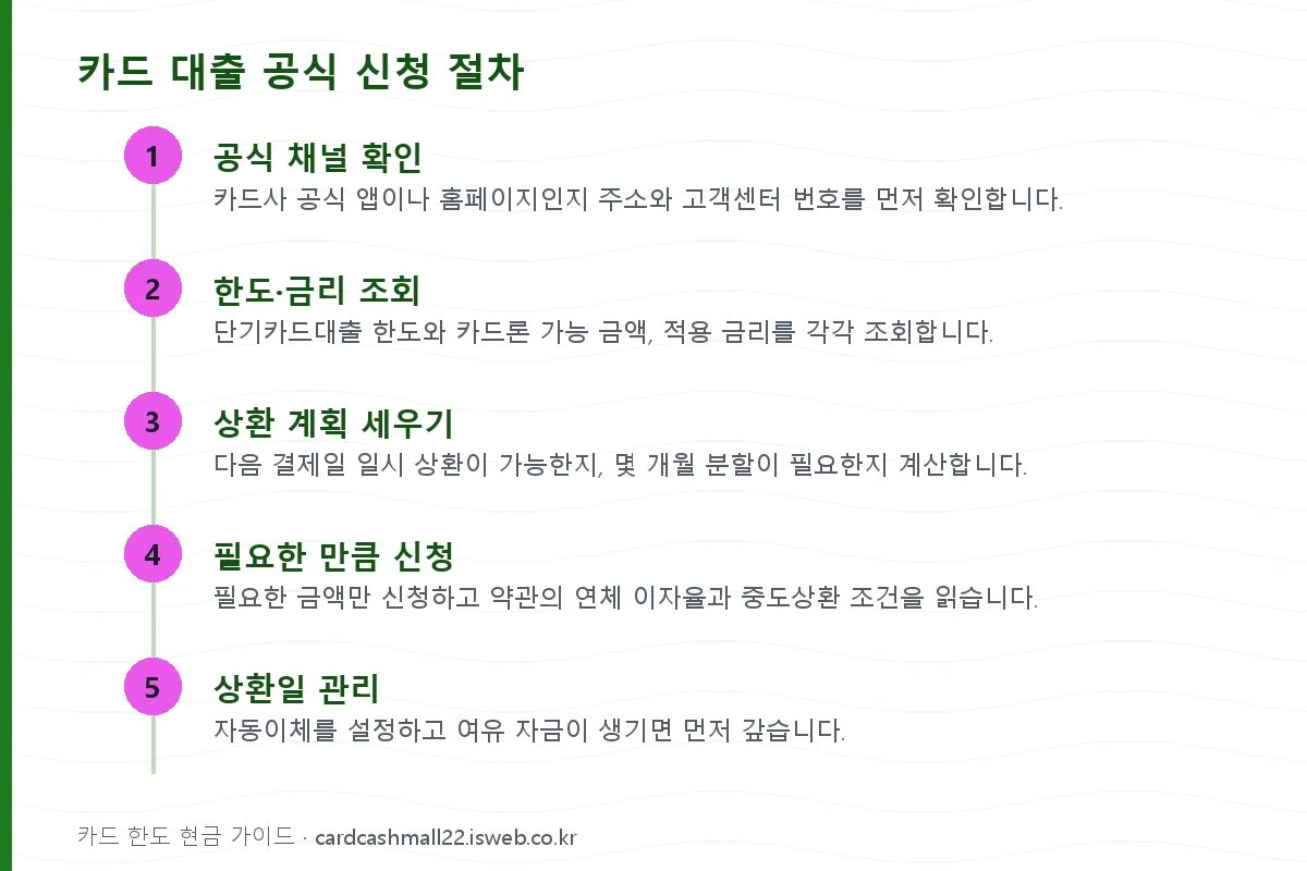 카드 대출 공식 신청 절차 단계를 순서대로 정리한 그림