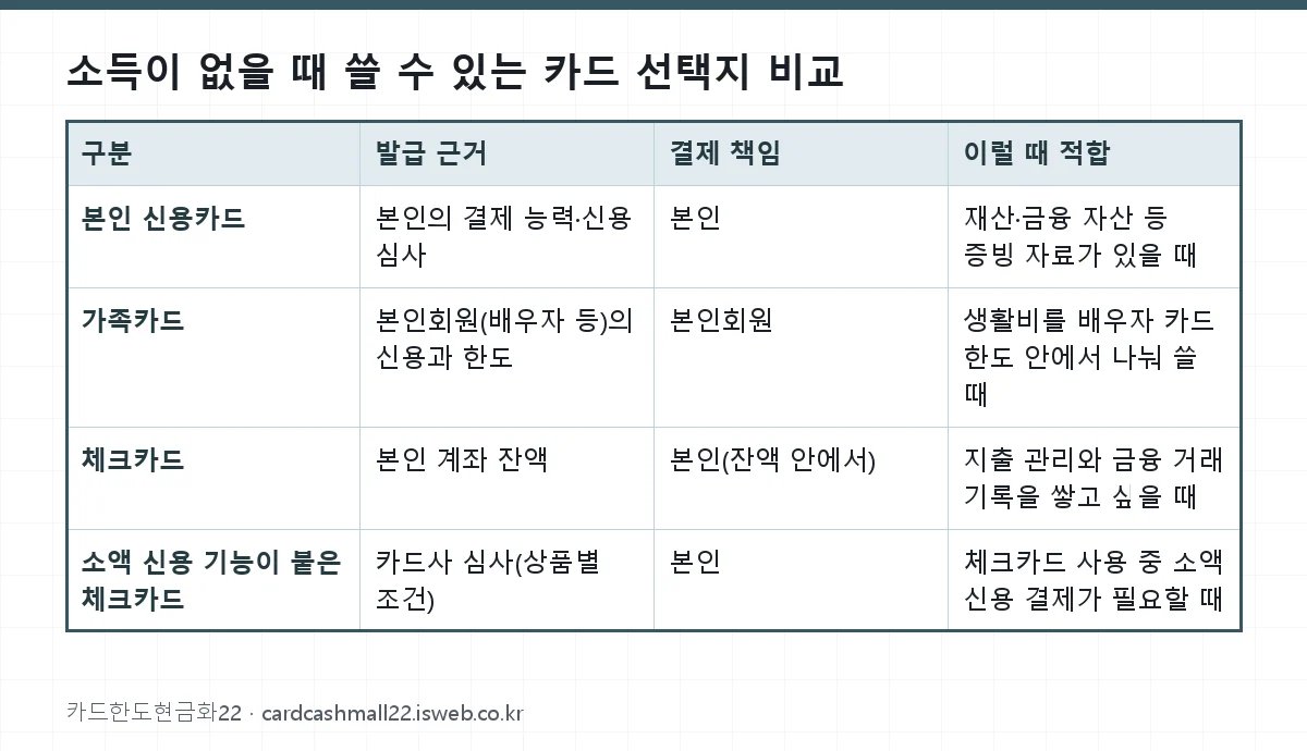 소득이 없을 때 쓸 수 있는 카드 선택지 비교 표를 그림으로 정리한 이미지