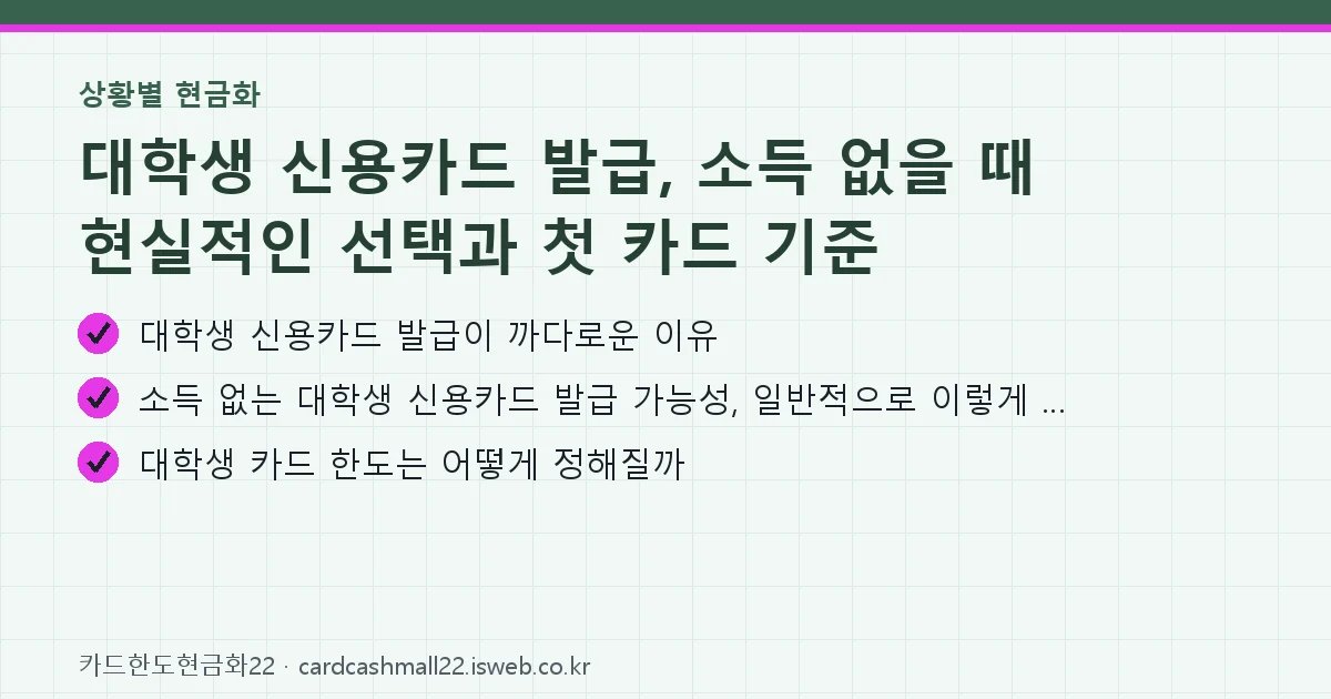 대학생 신용카드 발급 핵심 내용을 정리한 요약 카드
